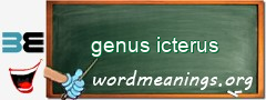 WordMeaning blackboard for genus icterus